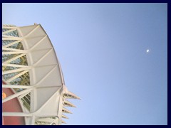 City of Arts and Sciences at sunset - Príncipe Felipe Science Museum